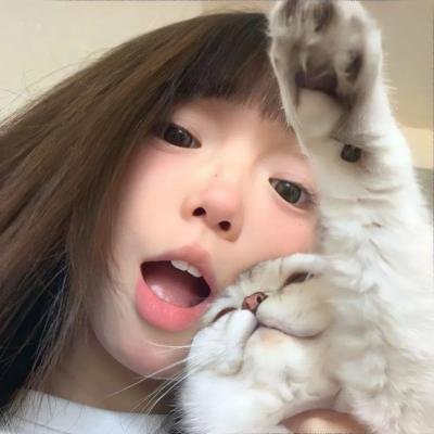 森林：随处可见